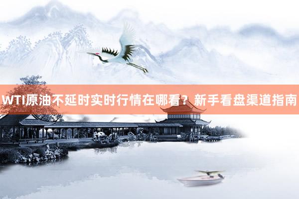 WTI原油不延时实时行情在哪看？新手看盘渠道指南
