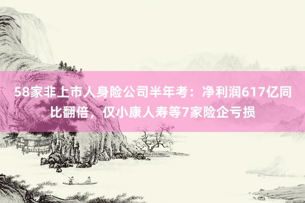 58家非上市人身险公司半年考：净利润617亿同比翻倍，仅小康人寿等7家险企亏损