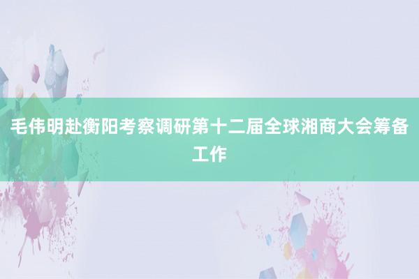 毛伟明赴衡阳考察调研第十二届全球湘商大会筹备工作