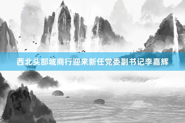 西北头部城商行迎来新任党委副书记李嘉辉