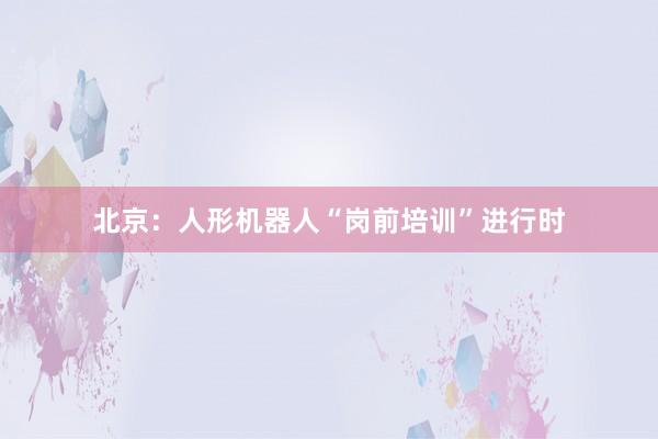 北京：人形机器人“岗前培训”进行时