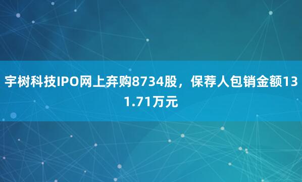 宇树科技IPO网上弃购8734股，保荐人包销金额131.71万元