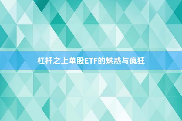 杠杆之上单股ETF的魅惑与疯狂