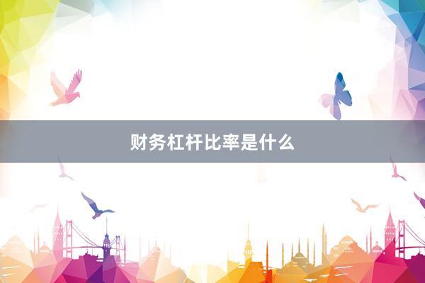财务杠杆比率是什么