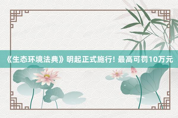 《生态环境法典》明起正式施行! 最高可罚10万元