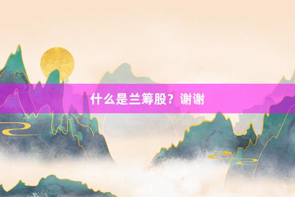什么是兰筹股？谢谢