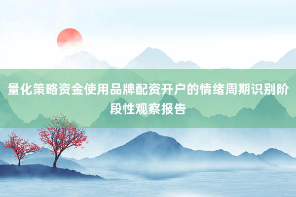 量化策略资金使用品牌配资开户的情绪周期识别阶段性观察报告