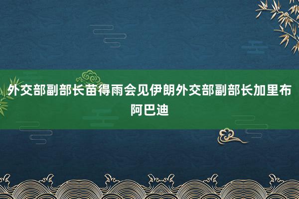 外交部副部长苗得雨会见伊朗外交部副部长加里布阿巴迪