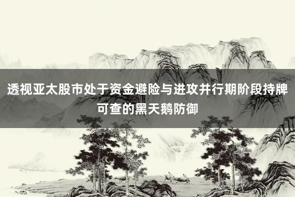 透视亚太股市处于资金避险与进攻并行期阶段持牌可查的黑天鹅防御