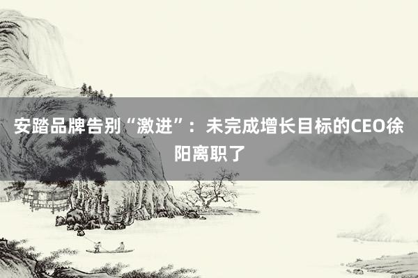 安踏品牌告别“激进”:未完成增长目标的CEO徐阳离职了