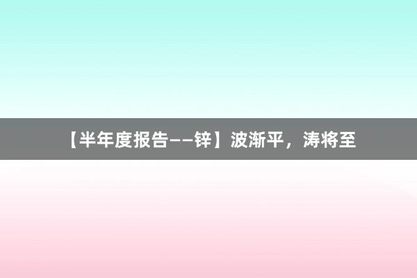【半年度报告——锌】波渐平,涛将至