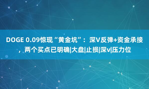 DOGE 0.09惊现“黄金坑”：深V反弹+资金承接，两个买点已明确|大盘|止损|深v|压力位