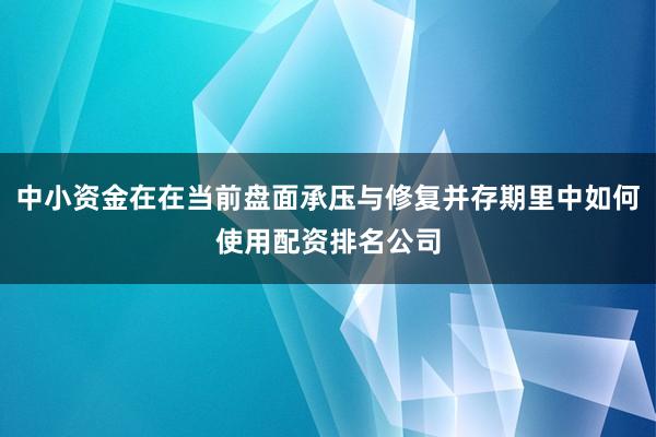 中小资金在在当前盘面承压与修复并存期里中如何使用配资排名公司