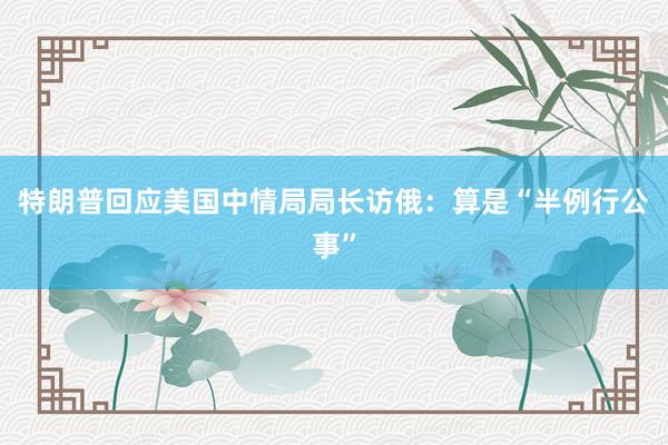 特朗普回应美国中情局局长访俄：算是“半例行公事”
