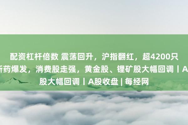 配资杠杆倍数 震荡回升,沪指翻红,超4200只个股上涨!创新药爆发,消费股走强,黄金股、锂矿股大幅回调丨A股收盘 | 每经网