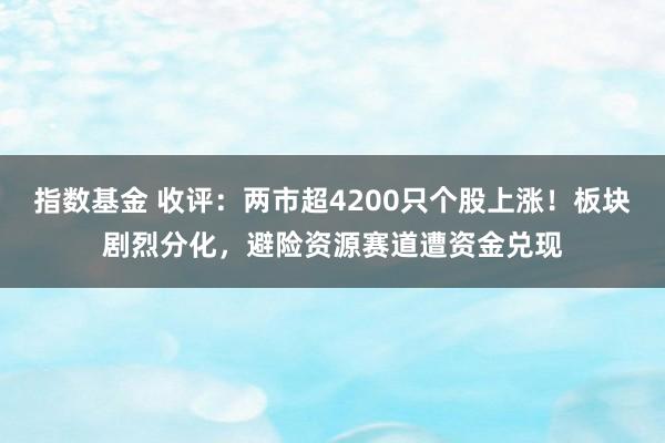 指数基金 收评：两市超4200只个股上涨！板块剧烈分化，避险资源赛道遭资金兑现