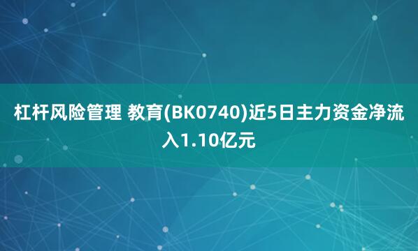 杠杆风险管理 教育(BK0740)近5日主力资金净流入1.10亿元