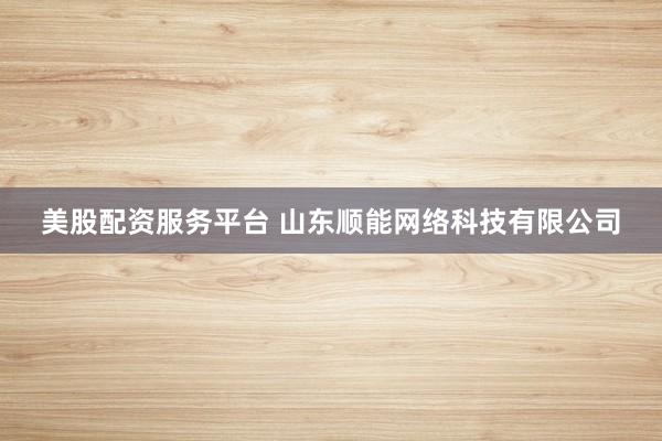 美股配资服务平台 山东顺能网络科技有限公司