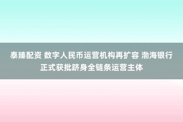 泰臻配资 数字人民币运营机构再扩容 渤海银行正式获批跻身全链条运营主体