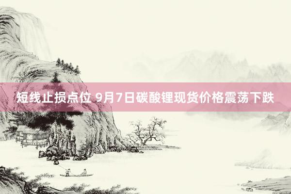 短线止损点位 9月7日碳酸锂现货价格震荡下跌