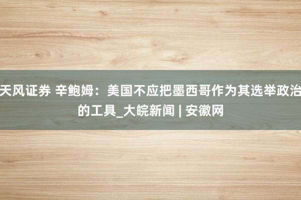 天风证券 辛鲍姆：美国不应把墨西哥作为其选举政治的工具_大皖新闻 | 安徽网