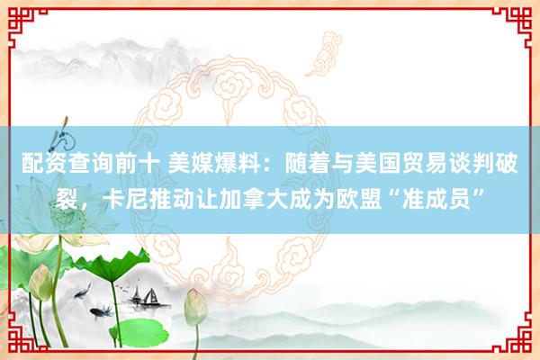 配资查询前十 美媒爆料：随着与美国贸易谈判破裂，卡尼推动让加拿大成为欧盟“准成员”