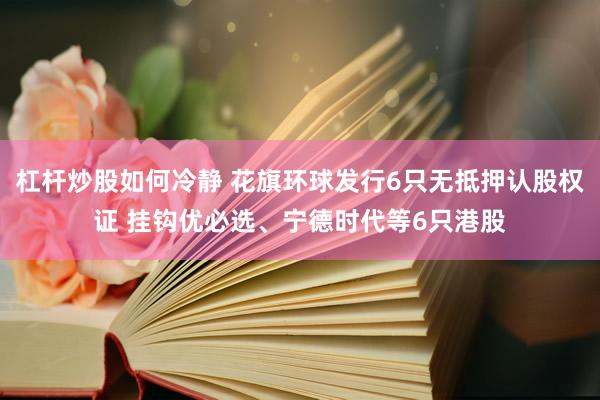 杠杆炒股如何冷静 花旗环球发行6只无抵押认股权证 挂钩优必选、宁德时代等6只港股