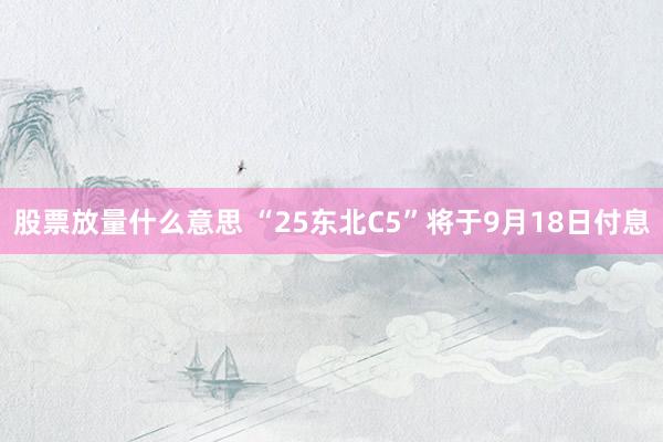 股票放量什么意思 “25东北C5”将于9月18日付息