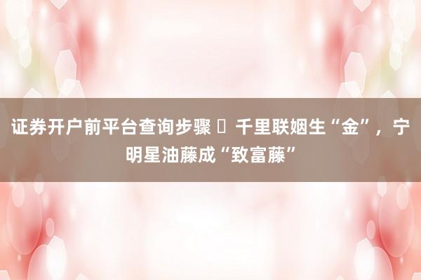 证券开户前平台查询步骤 ​千里联姻生“金”，宁明星油藤成“致富藤”