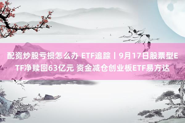 配资炒股亏损怎么办 ETF追踪丨9月17日股票型ETF净赎回63亿元 资金减仓创业板ETF易方达